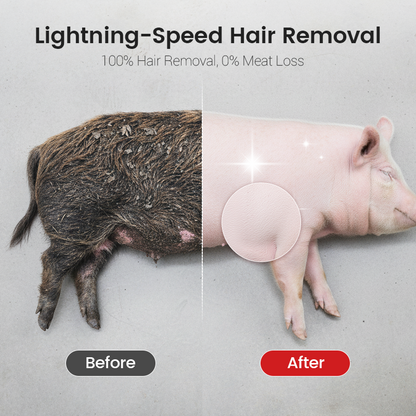 🧰BUY 2 GET 3 FREE🔧Labor-Saving Pig Hair Remover Scraper Disc