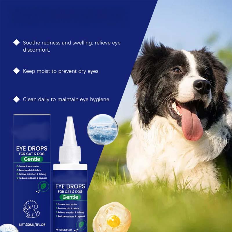 Pet Eye Drops for Dogs & Cats