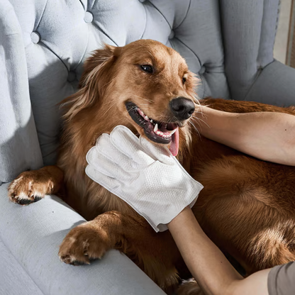 🐾 BUY MORE GET MORE! 🧤 RINSE-FREE PET GLOVES - Deep Cleans & Deodorizes in One Step, Soft Silicone Tips for Massage, Safe for Cats and Dogs 🐶🐱✨