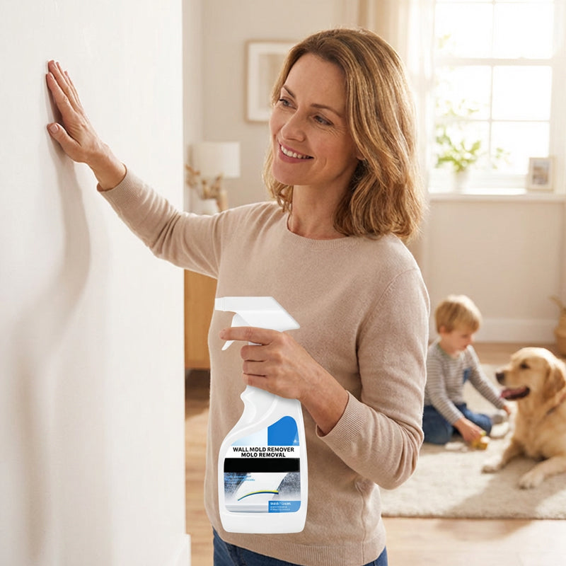 500ml Wall Mold & Mildew Remover Spray