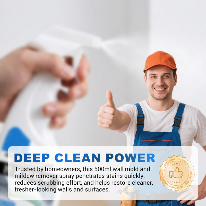 500ml Wall Mold & Mildew Remover Spray