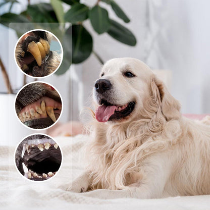 Pet Tartar Remover for Dogs & Cats